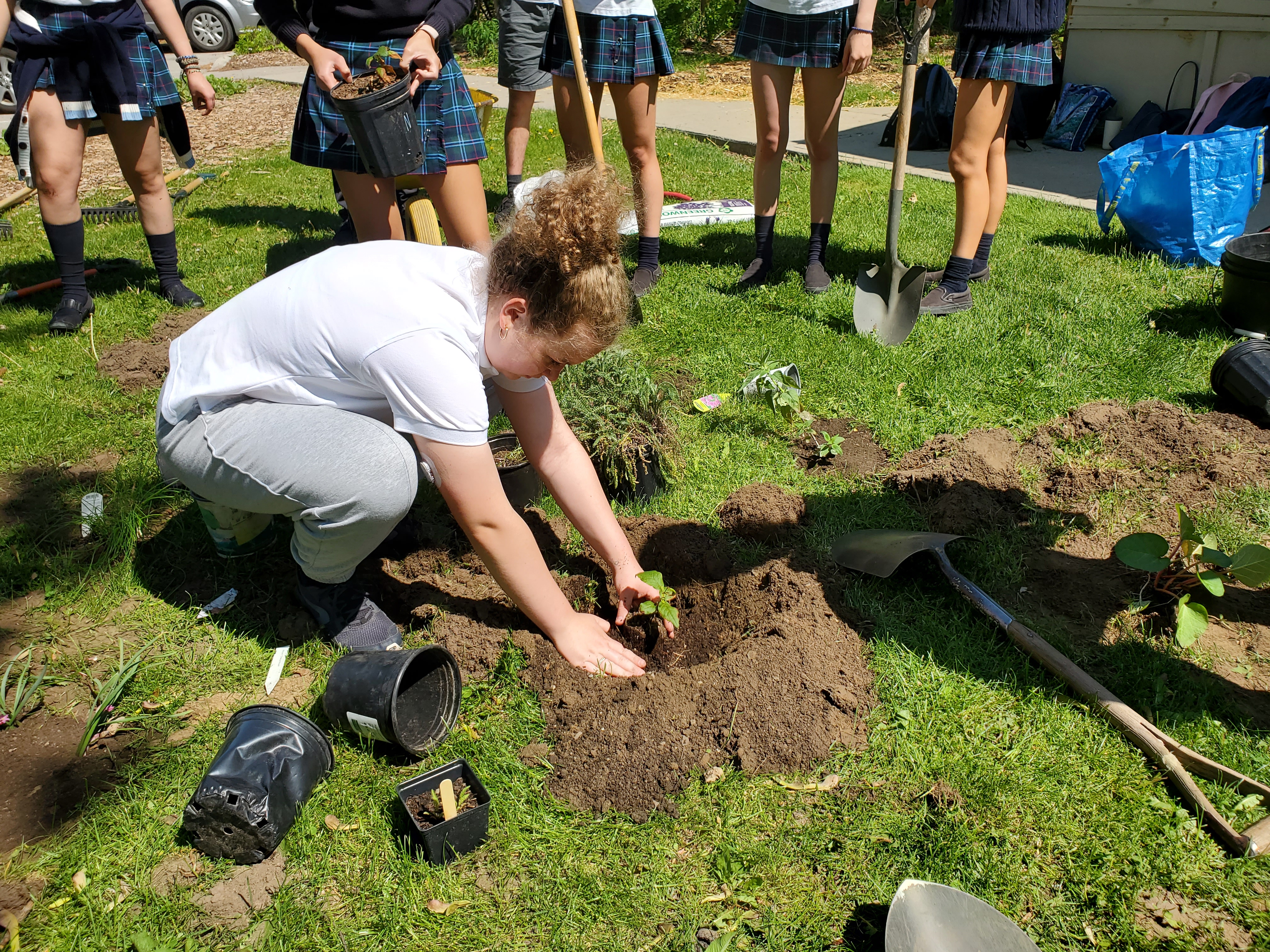 OriginalImage,Original