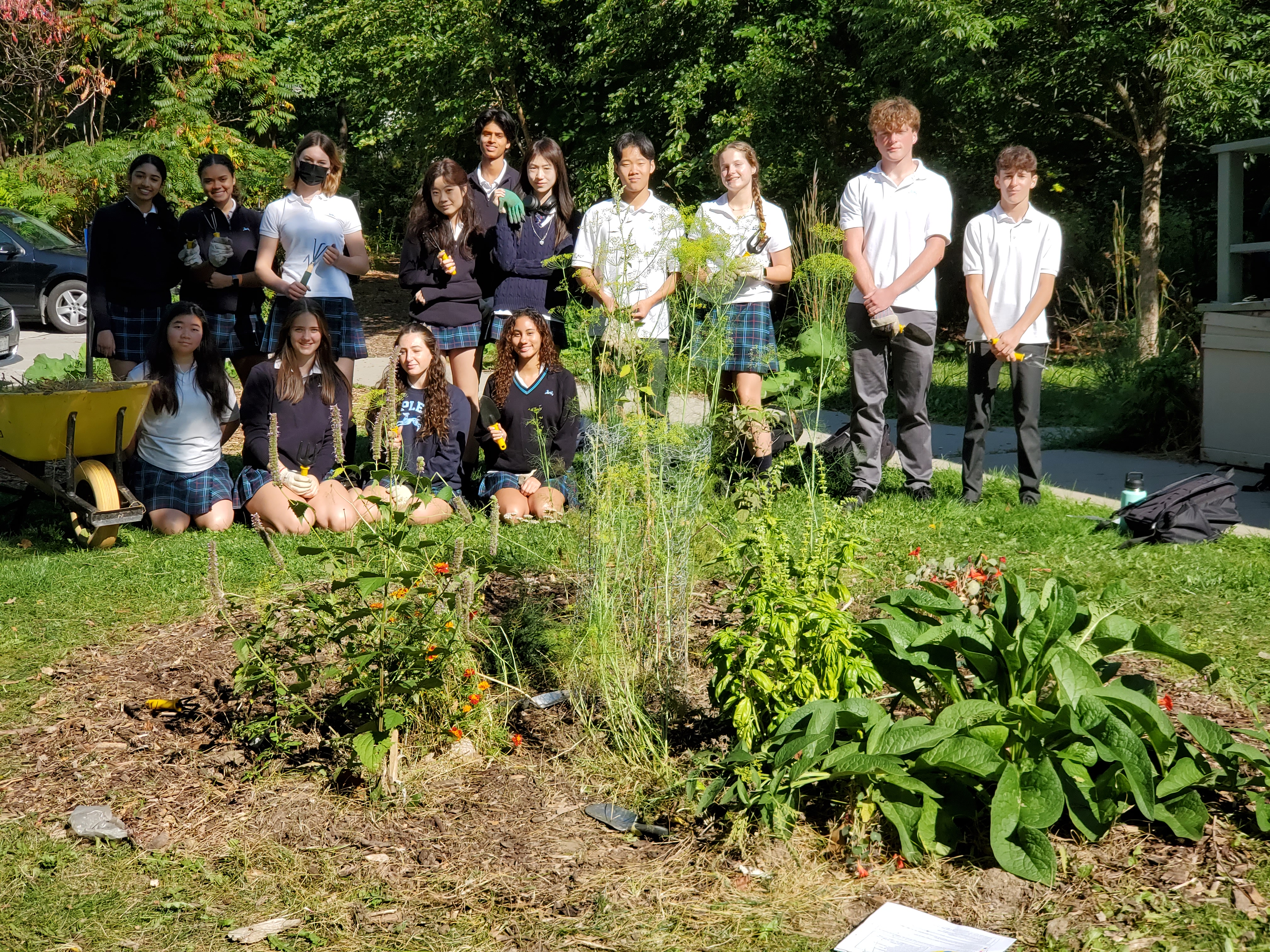 OriginalImage,Original