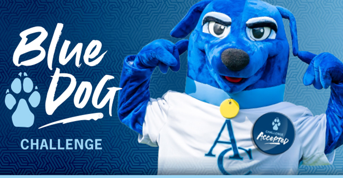 OriginalImage,,,Original