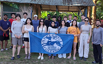 OriginalImage,,,Original