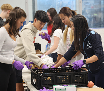 OriginalImage,,,Original