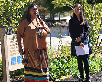 OriginalImage,,,Original