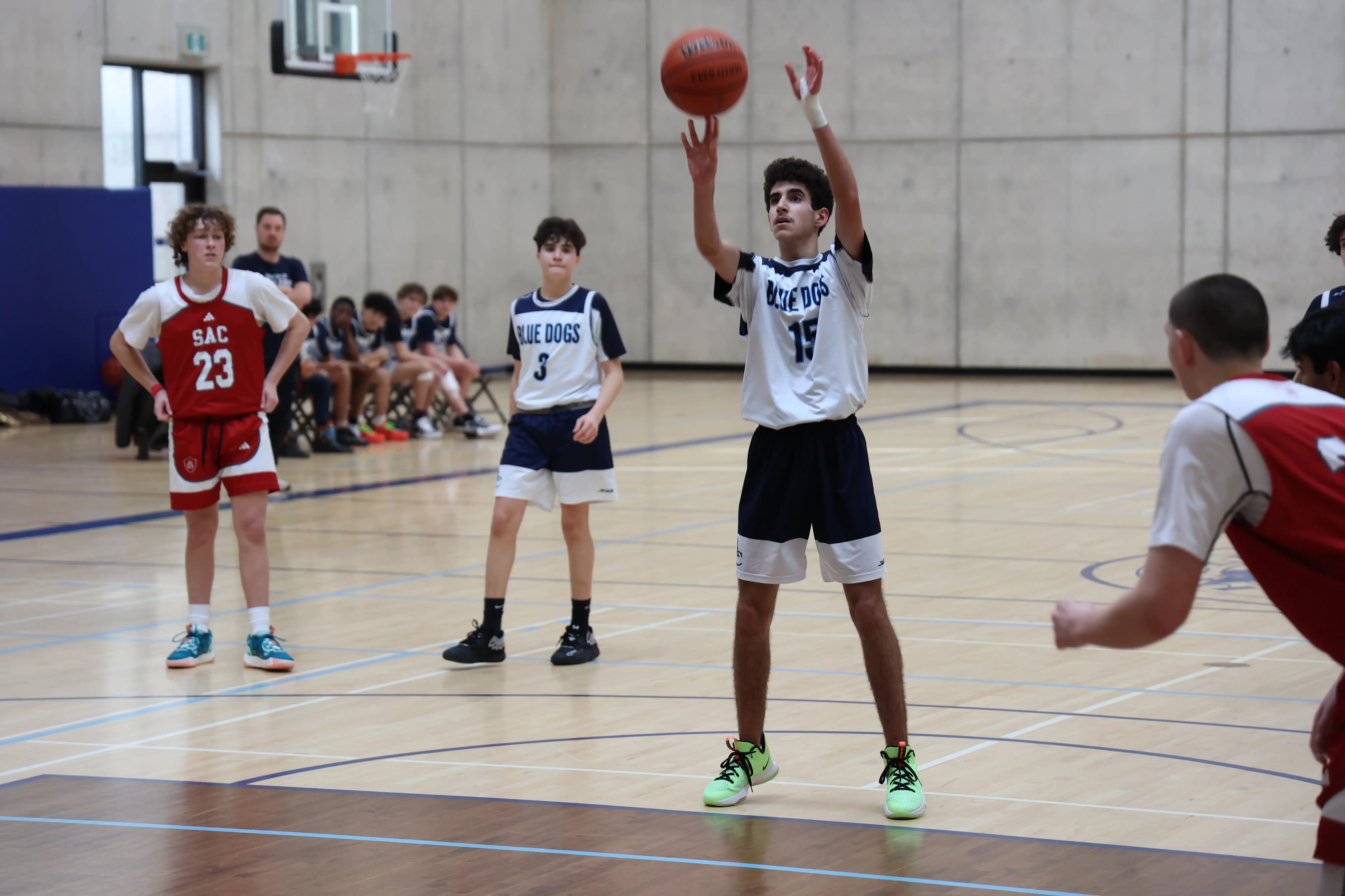  OptimizedImage,Optimized