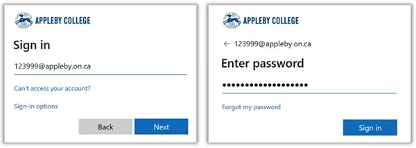  OptimizedImage,Optimized