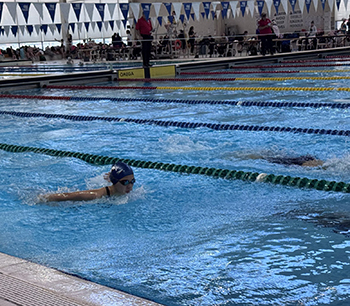 OriginalImage,,,Original