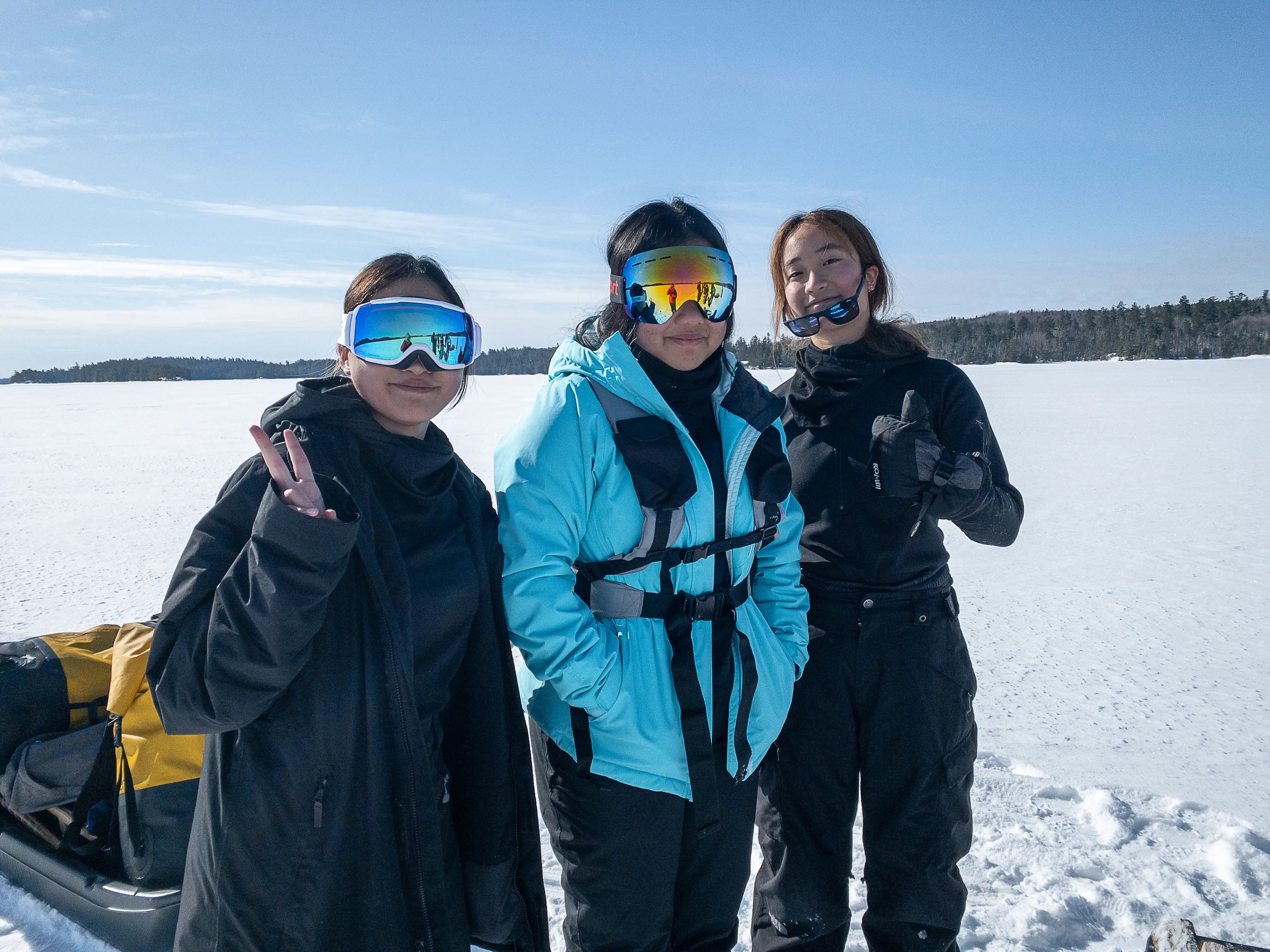  OptimizedImage,Optimized