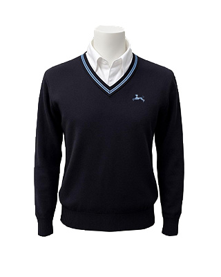 OriginalImage,,,Original