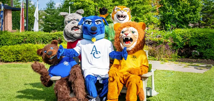 OptimizedImage,Optimized