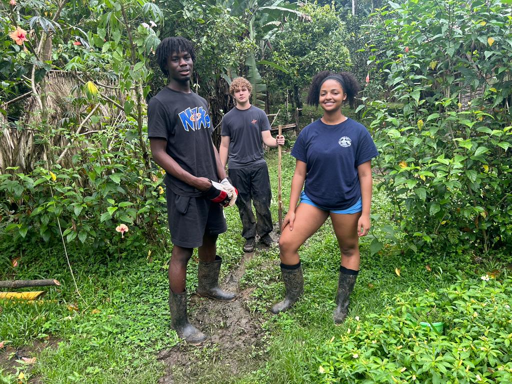 OriginalImage,Original