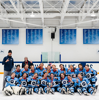 OriginalImage,,,Original