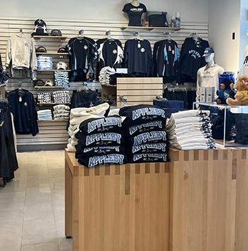 OriginalImage,,,Original