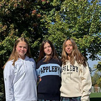 OriginalImage,,,Original