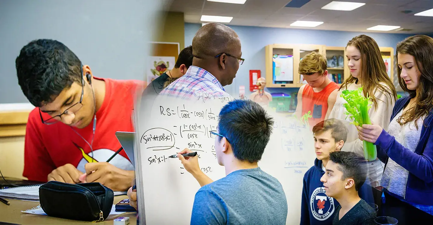  OptimizedImage,Optimized