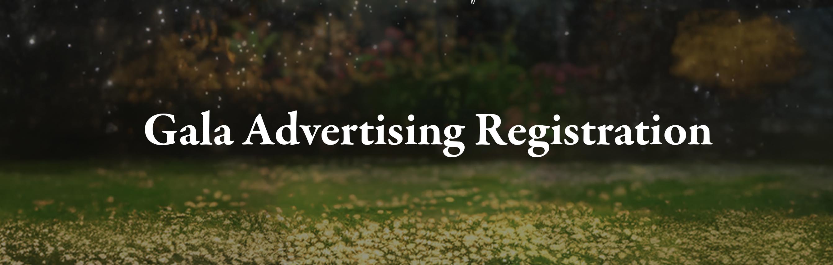 OriginalImage,,,Original