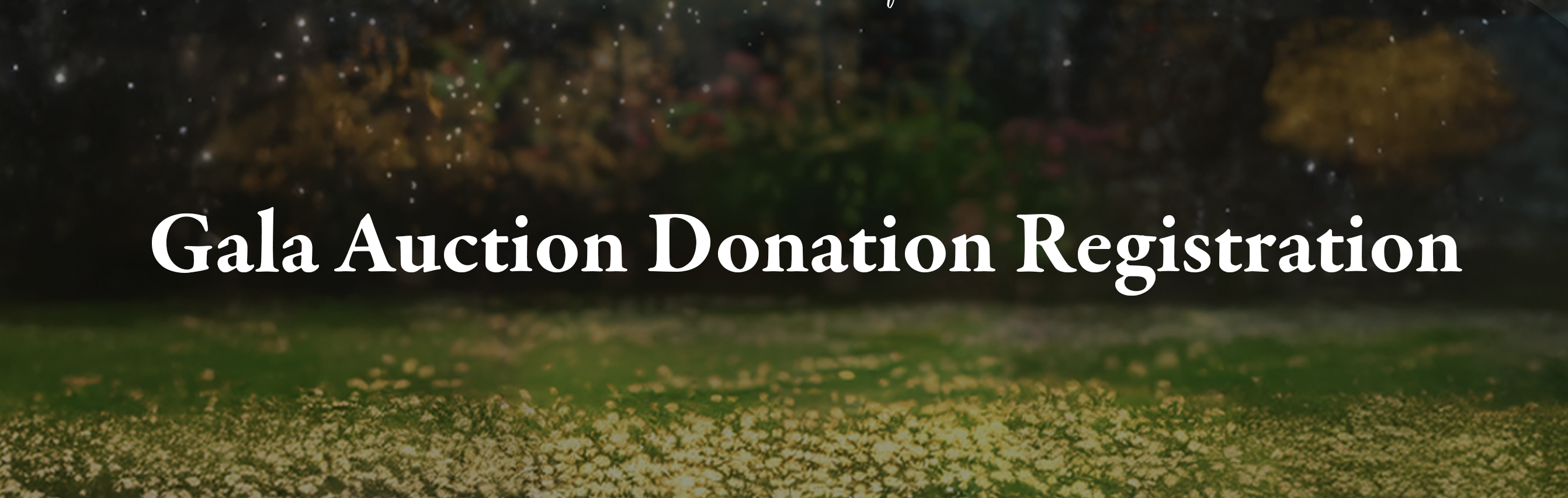 OriginalImage,,,Original