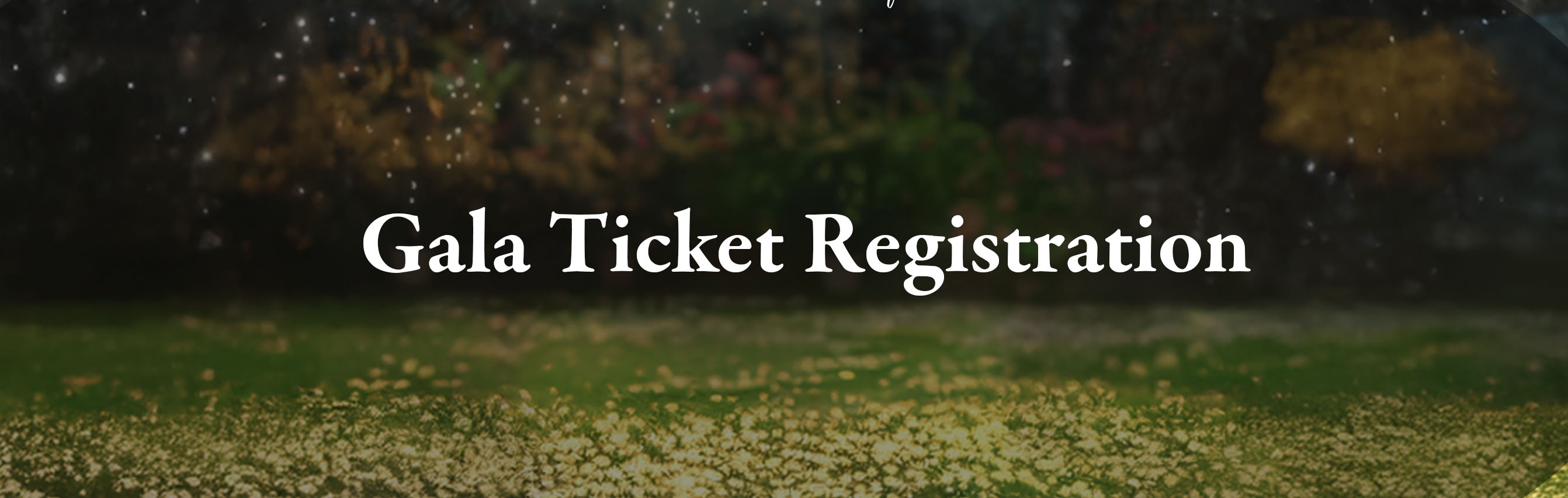 OriginalImage,,,Original