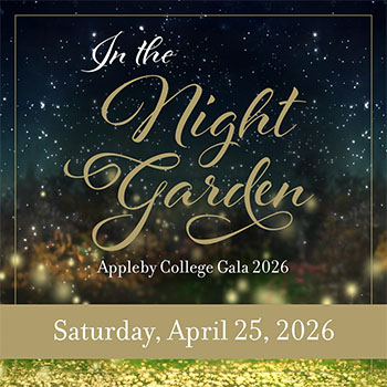 OriginalImage,,,Original