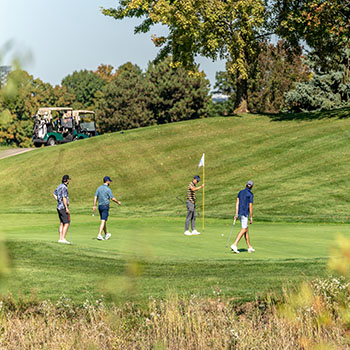 OriginalImage,,,Original