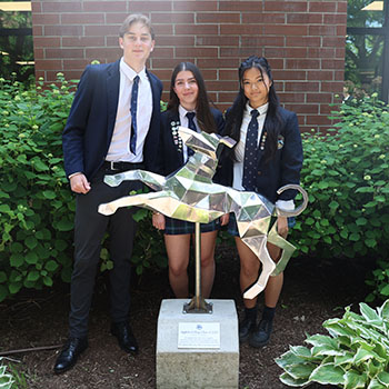 OriginalImage,,,Original