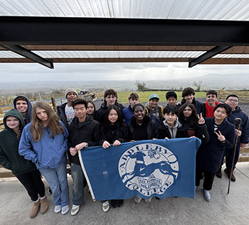 OriginalImage,,,Original