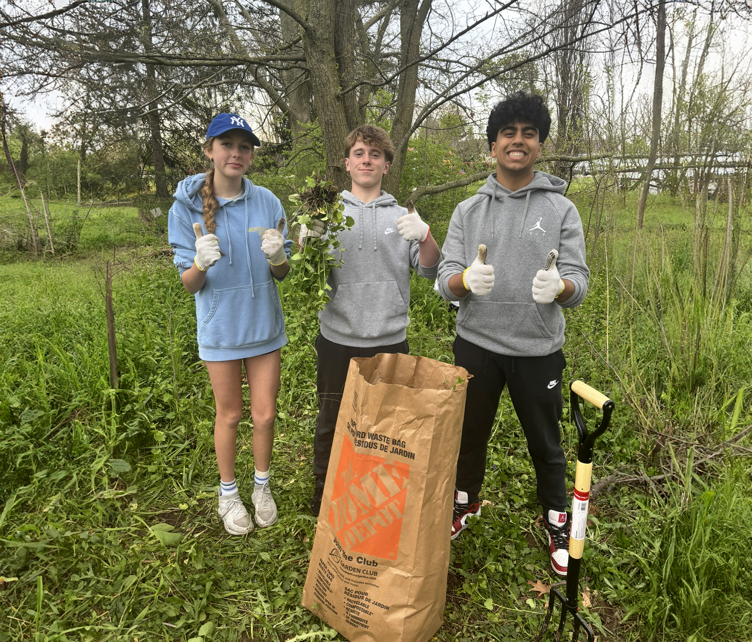 OriginalImage,Original