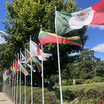 OriginalImage,,,Original