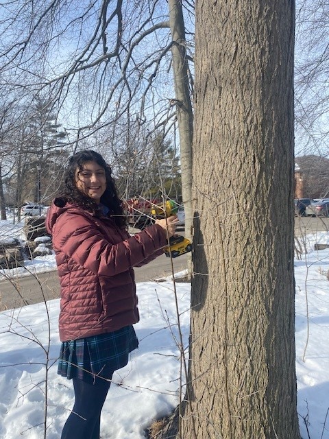 OriginalImage,Original