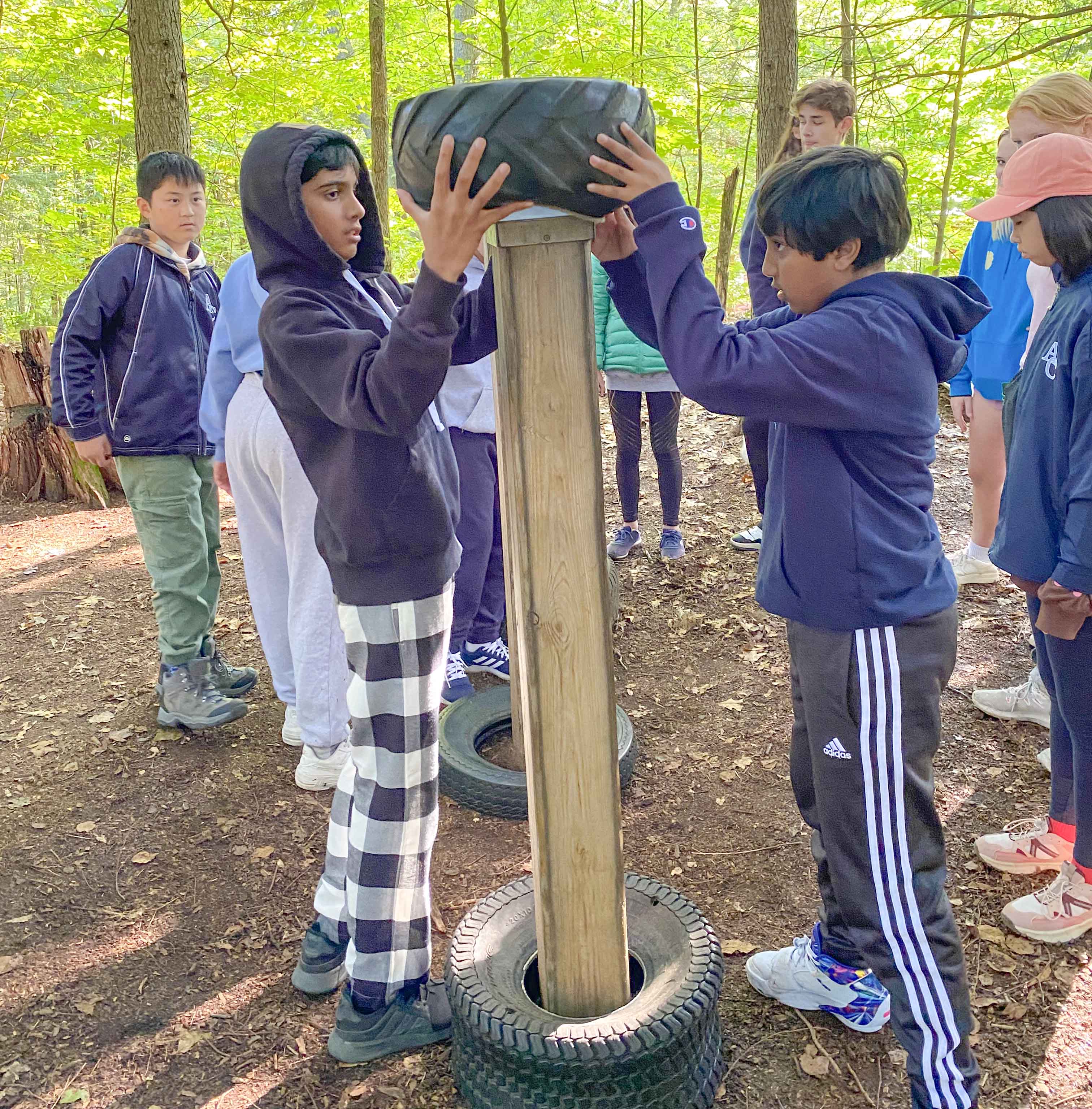 OriginalImage,Original