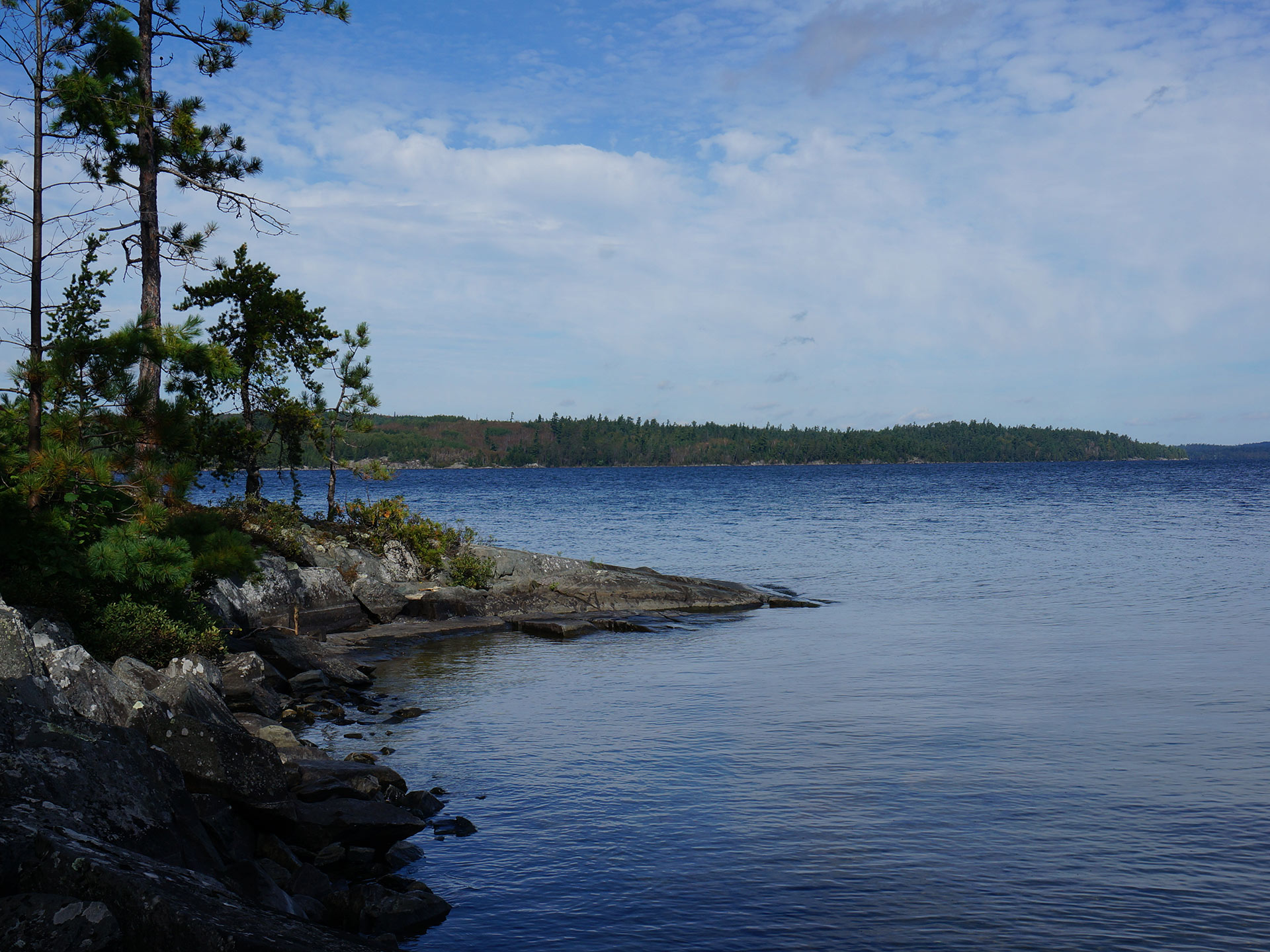 OriginalImage,Original