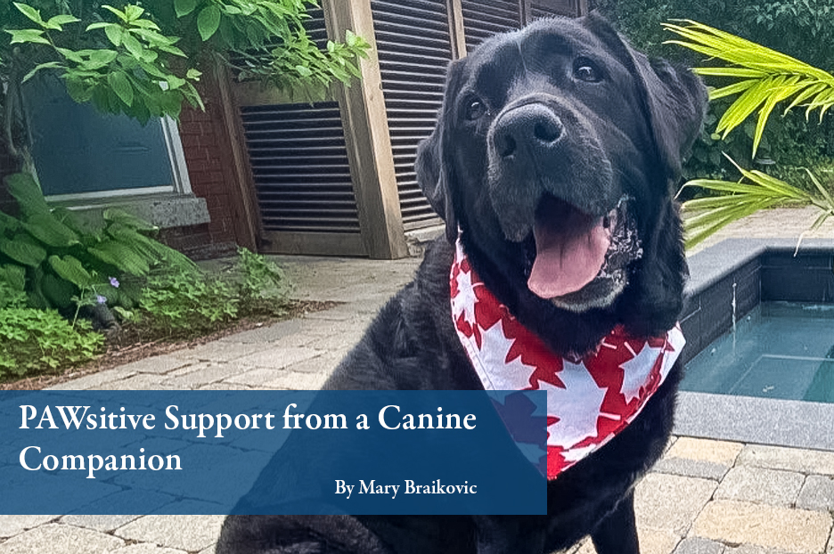 PAWsitive Support from a Canine Companion