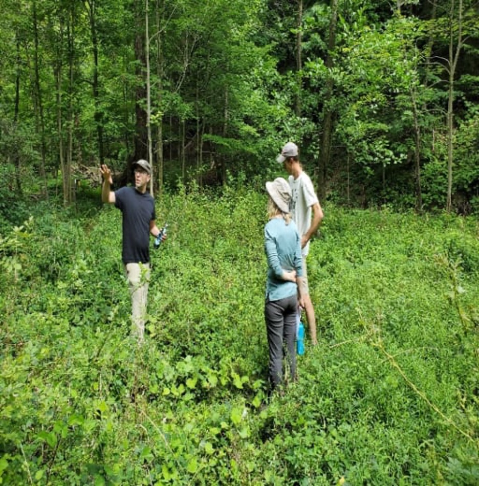 OriginalImage,Original