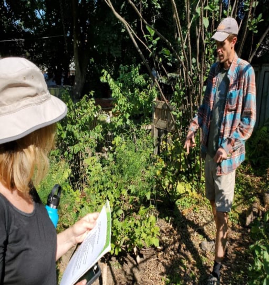 OriginalImage,Original