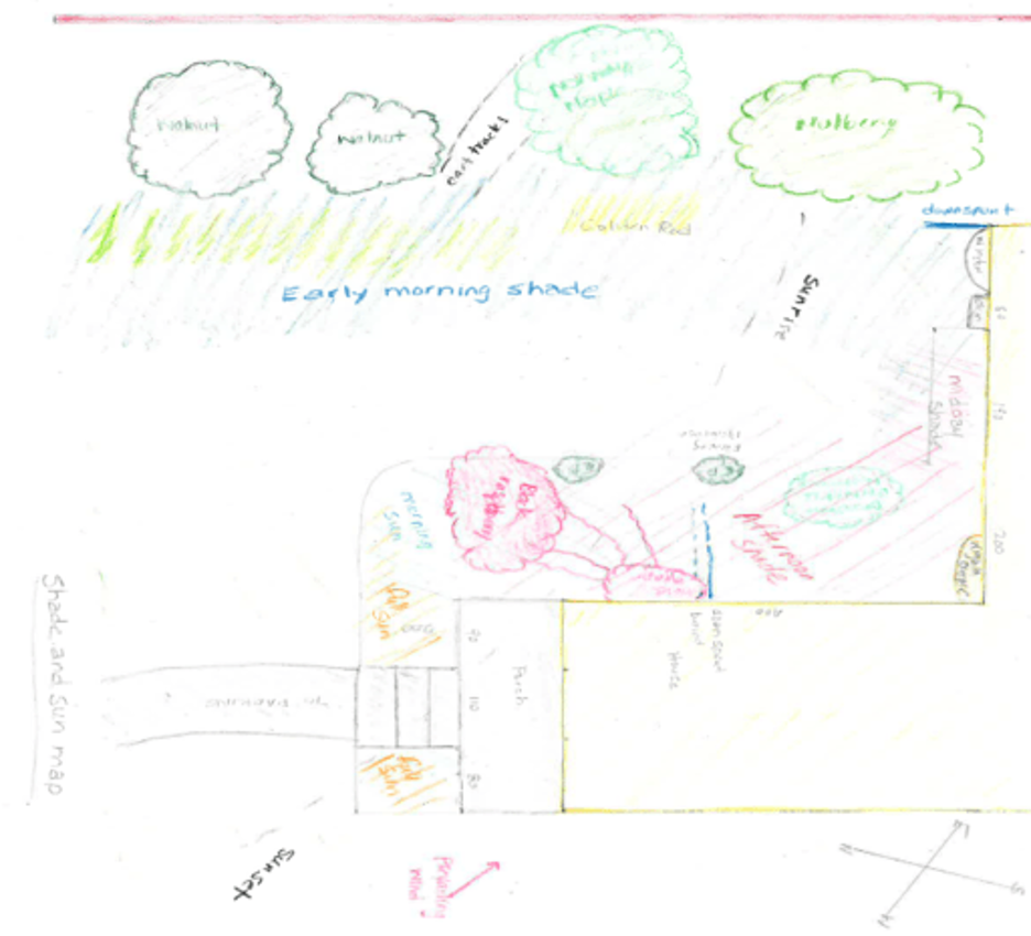 OriginalImage,Original