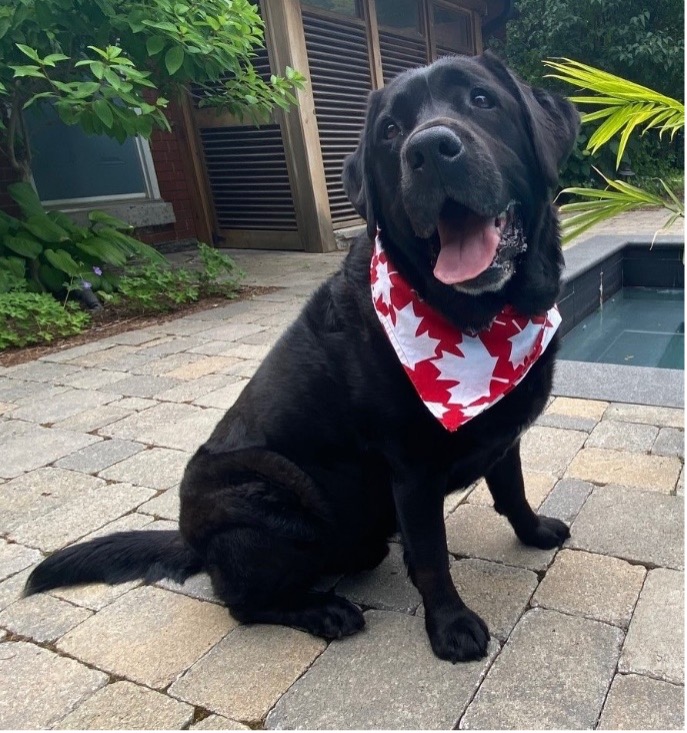 OriginalImage,Original