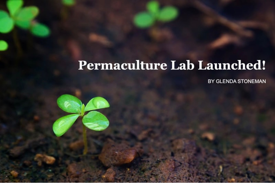 Permaculture Lab Launched
