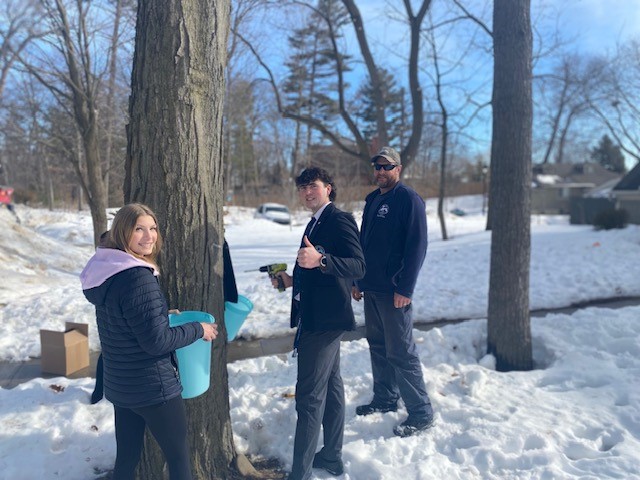 OriginalImage,Original