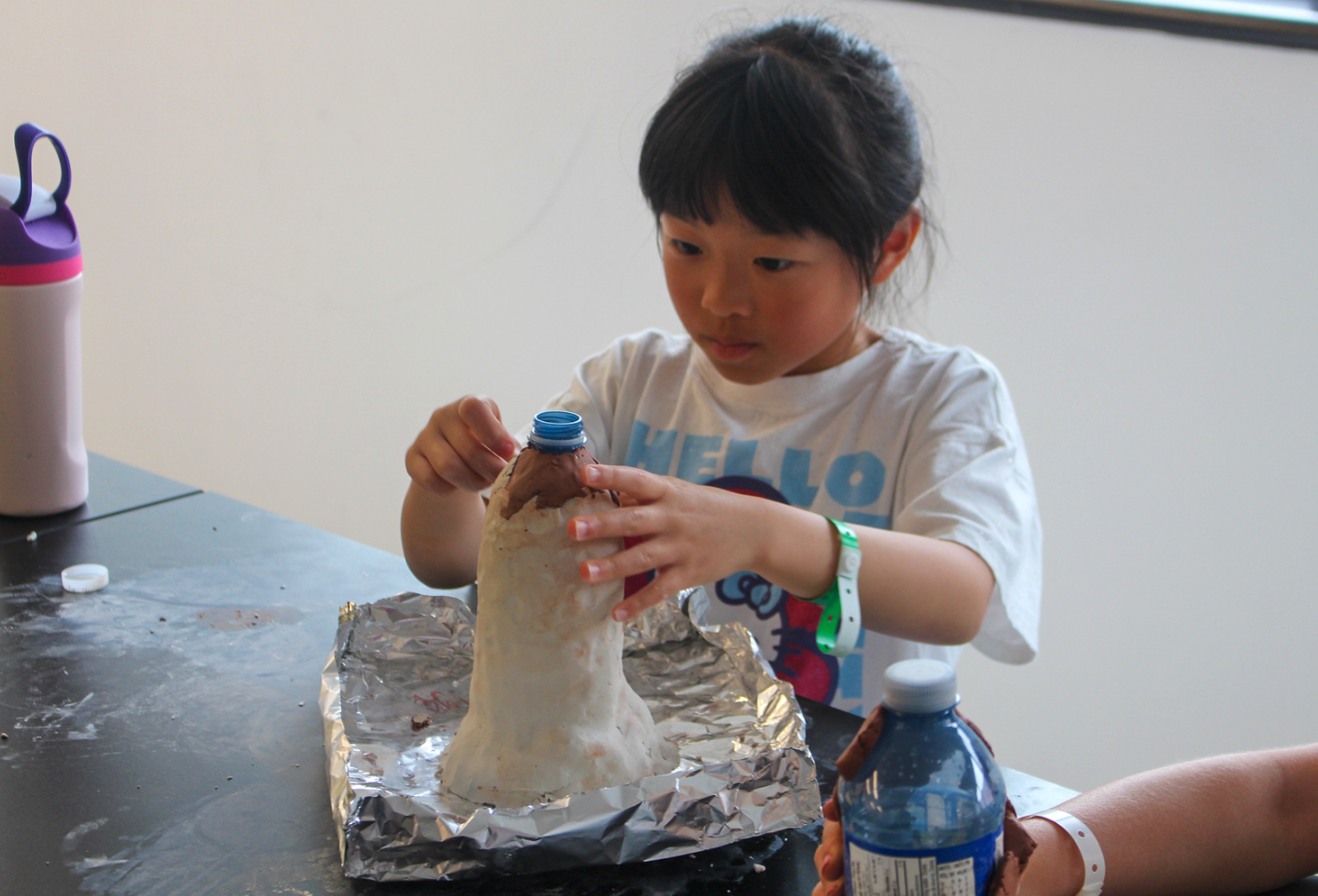 OriginalImage,,,Original