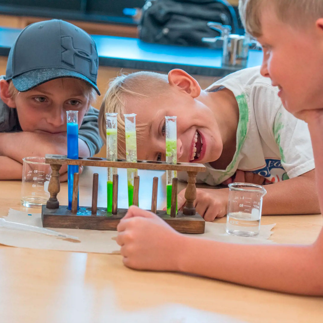 Science And Success