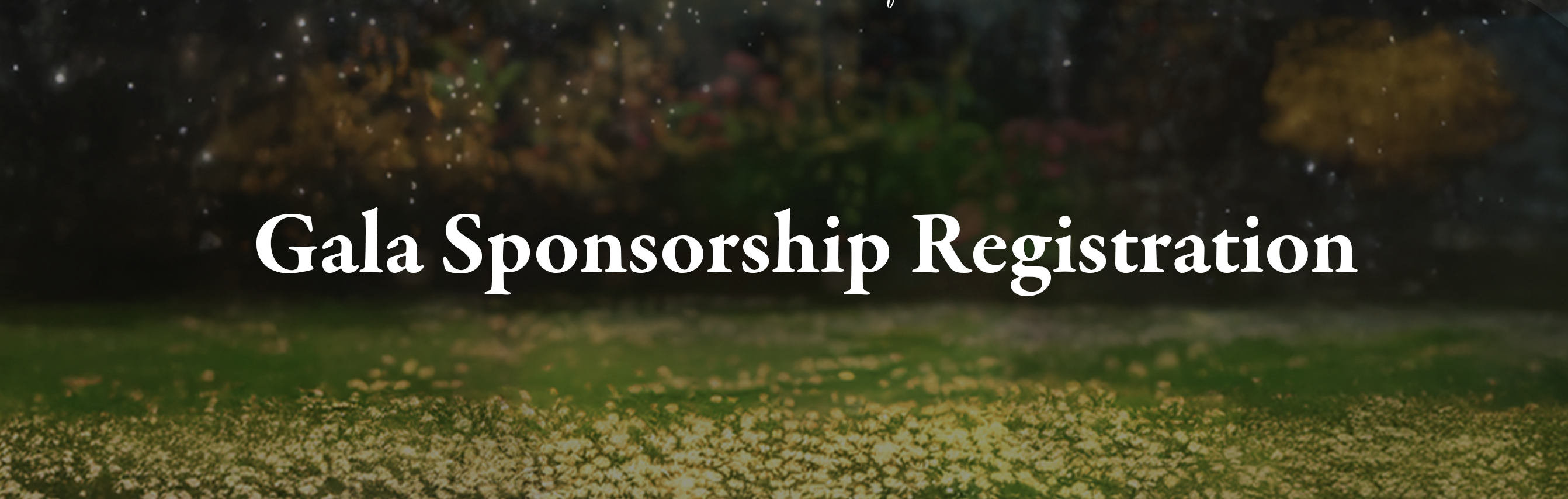 OriginalImage,,,Original