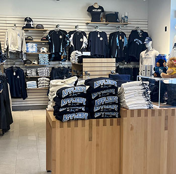 OriginalImage,,,Original