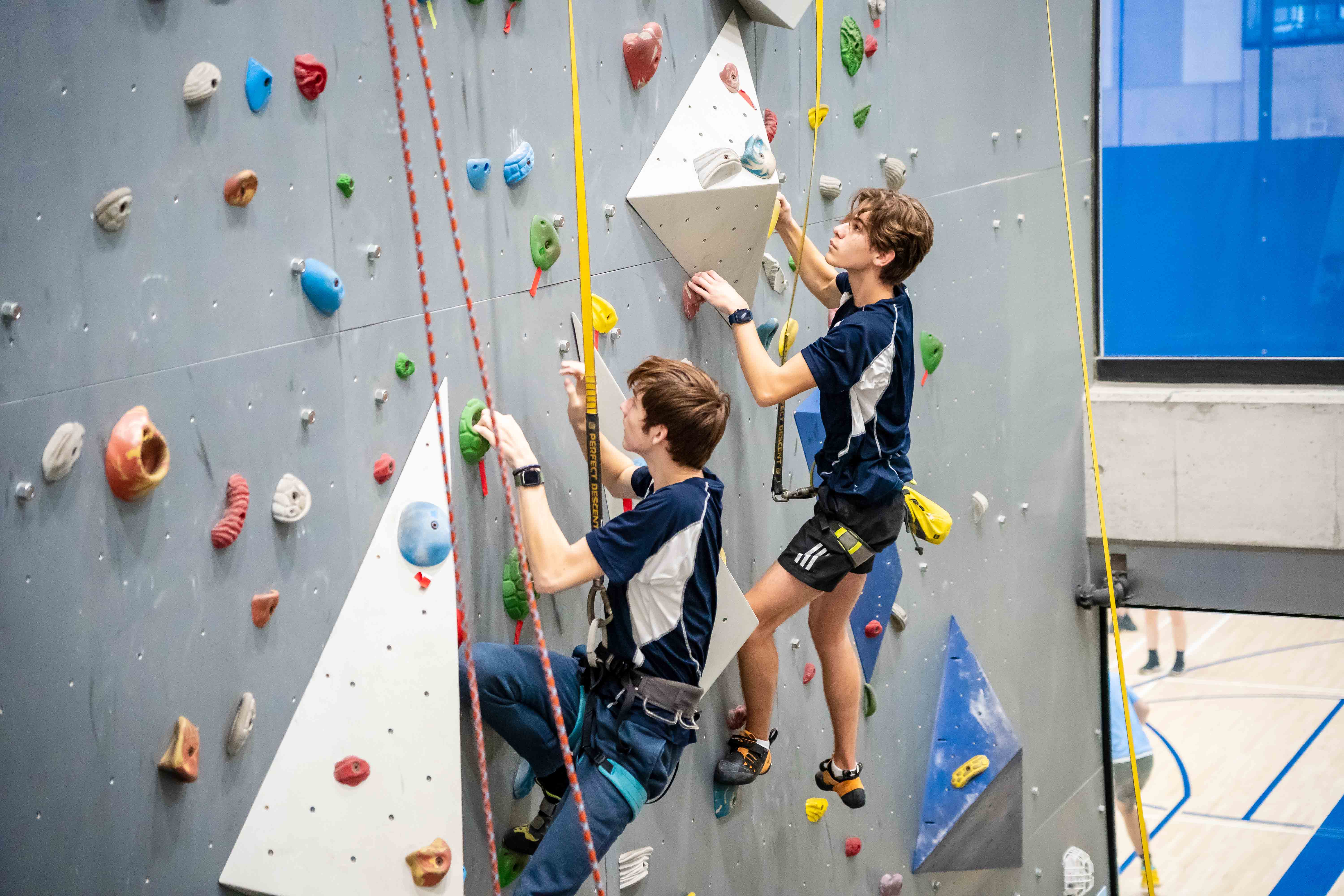 OriginalImage,Original