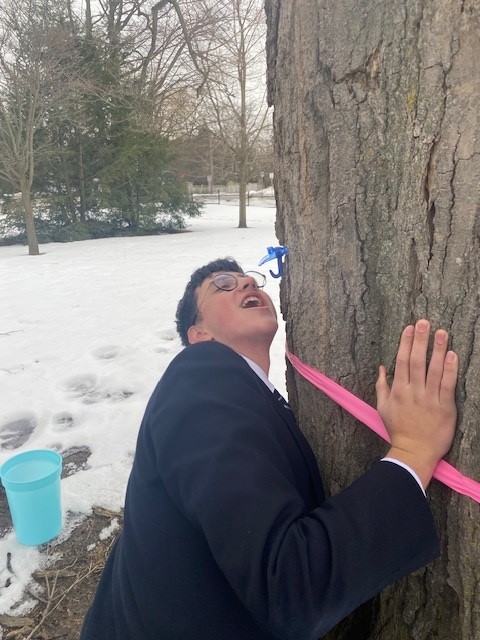 OriginalImage,Original