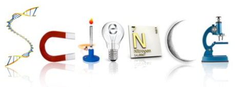 OriginalImage,,,Original