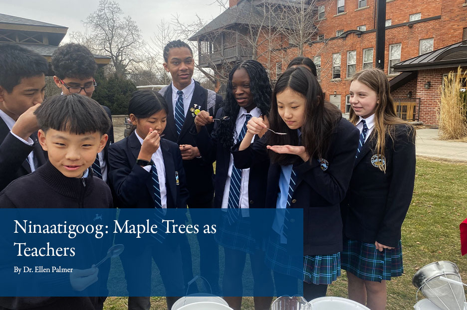 Ninaatigoog: Maple Trees as Teachers