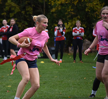 OriginalImage,,,Original