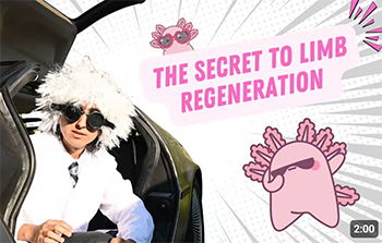 OriginalImage,,,Original